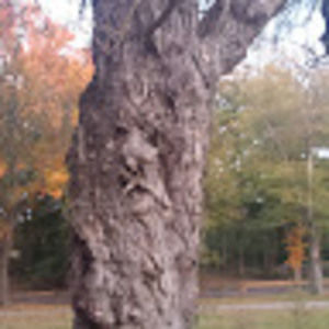 Meet your Posher, Jeanette